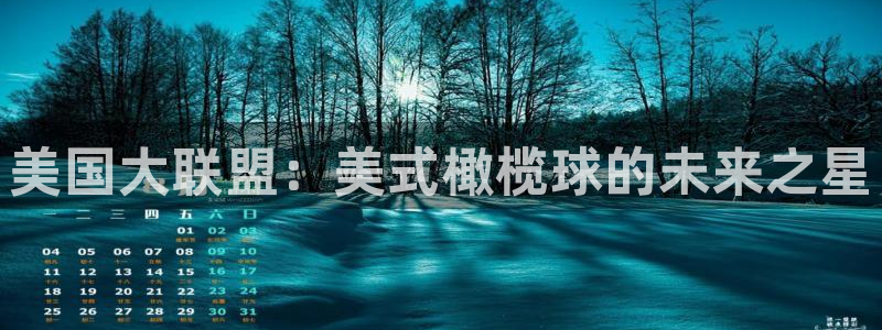 今年的世界杯:美国大联盟:美式橄榄球的未来之星
