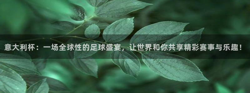 2026世界杯赛制:意大利杯:一场全球性的足球盛宴,让世界和你共享精彩赛事与乐趣!