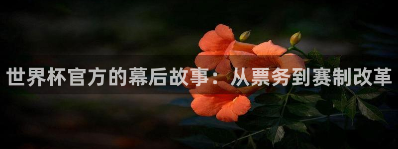2026世界杯南美区积分榜:世界杯官方的幕后故事:从票务到赛制改革