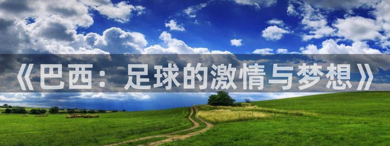 2006年世界杯冠军:《巴西:足球的激情与梦想》