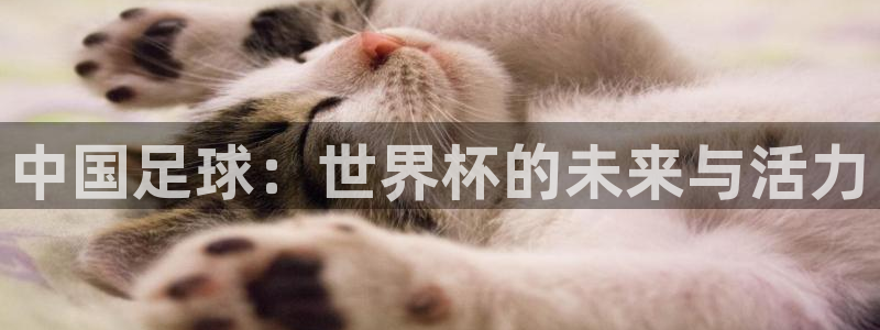 联赛杯直播:中国足球:世界杯的未来与活力