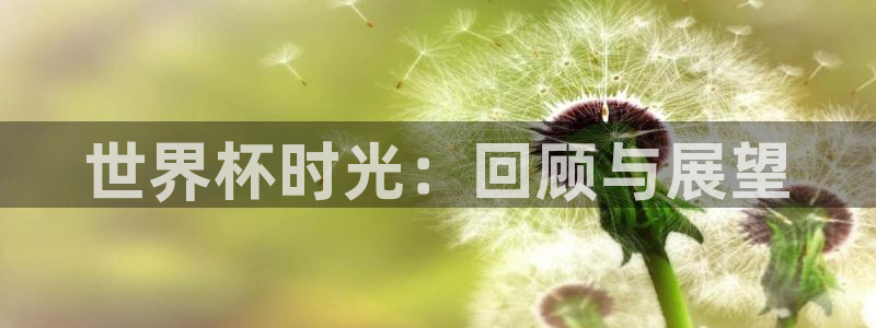 世界杯预赛赛程:世界杯时光:回顾与展望