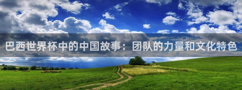 2026年男足世界杯:巴西世界杯中的中国故事:团队的力量和文化特色