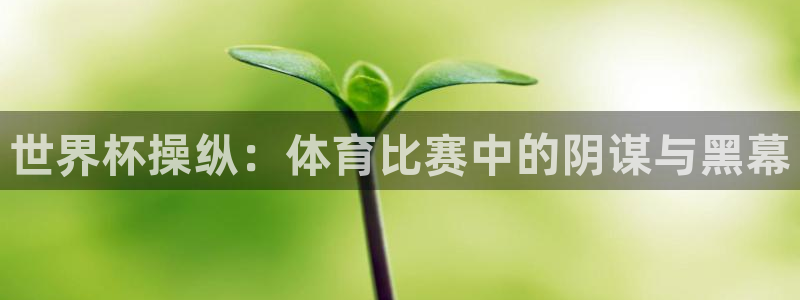 世界杯足球赛:世界杯操纵:体育比赛中的阴谋与黑幕