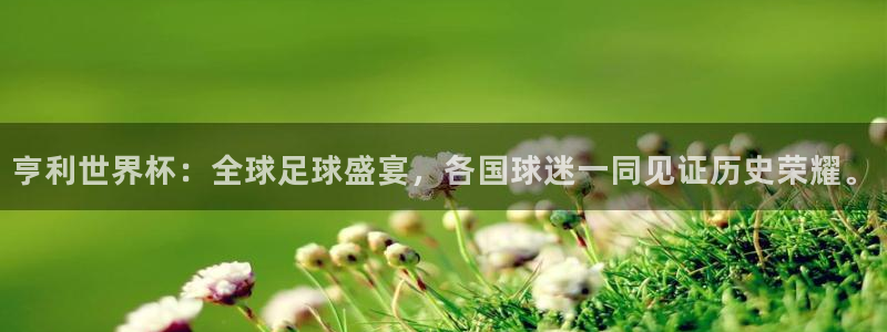 世界杯决赛圈球队:亨利世界杯:全球足球盛宴,各国球迷一同见证历史荣耀。