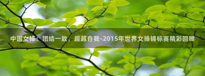 世俱杯直播:中国女排:团结一致,超越自我-2015年世界女排锦标赛精彩回顾