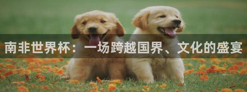 2026世界杯官网入口:南非世界杯:一场跨越国界、文化的盛宴