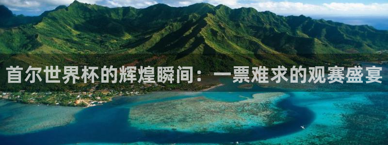 中国 世界杯:首尔世界杯的辉煌瞬间:一票难求的观赛盛宴